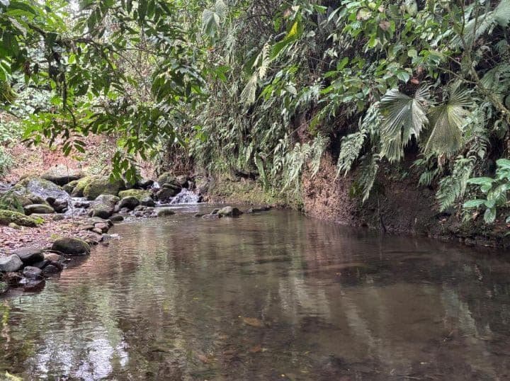 Habana River Lodge Eco Lodge for Sale in La Fortuna Costa Rica, photo 7