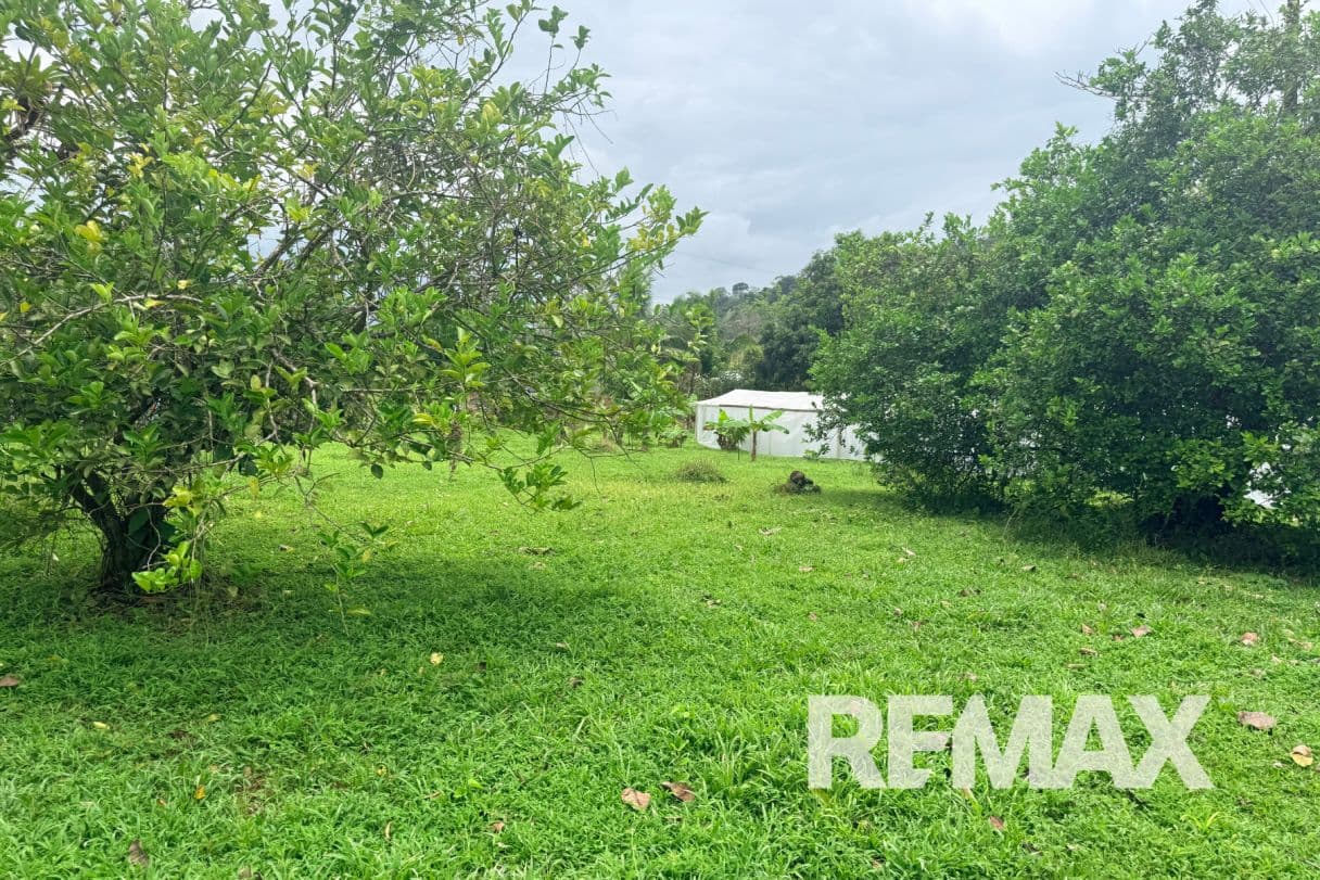 Turnkey Cacao Farm for Sale in Northern Costa Rica 71 Acres, photo 22