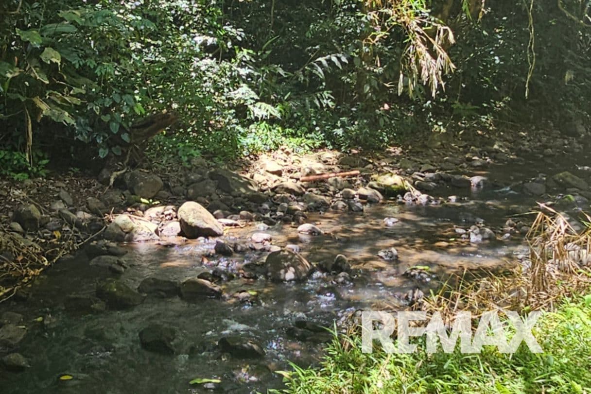 Riverfront Property with Expansion Potential Near La Fortuna – 2,918 m² + Additional 2,000 m² Usage Rights, photo 2