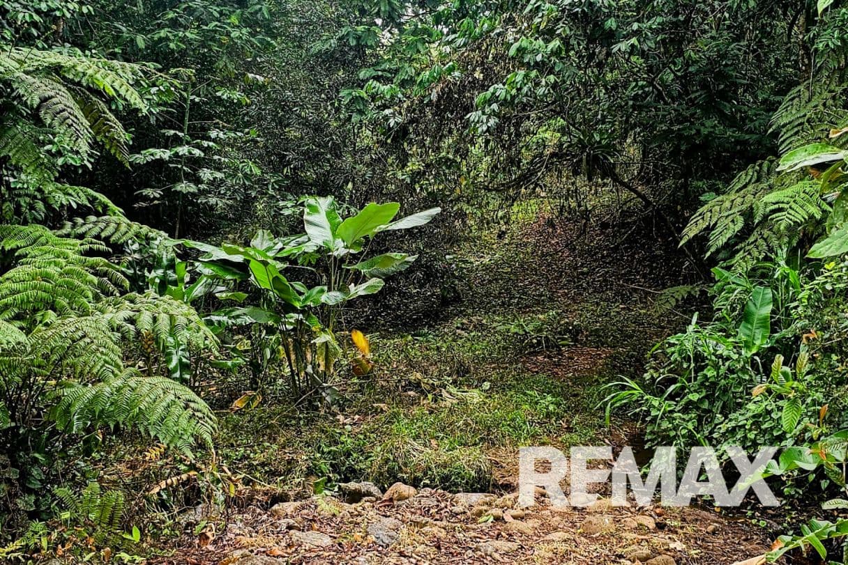 Beautiful Riverside Property in La Tigra – Great Value at ¢50,000,000, photo 4