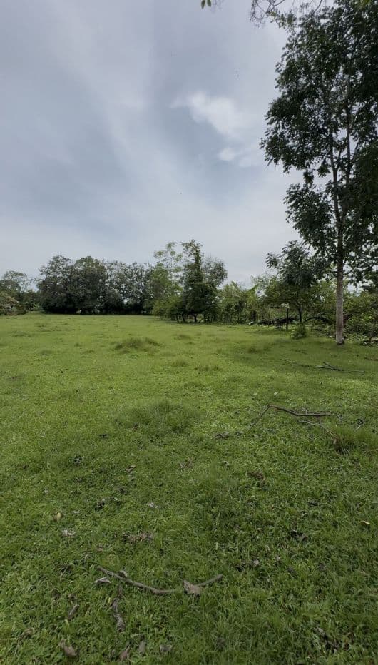 Riverside Land Just 5 Miles from La Fortuna – 6,284 m², photo 5