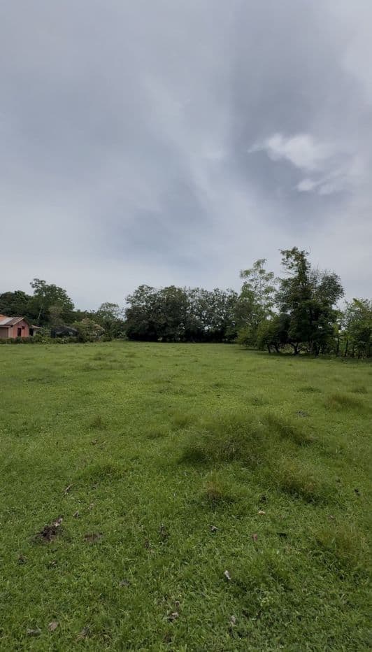 Riverside Land Just 5 Miles from La Fortuna – 6,284 m², photo 13