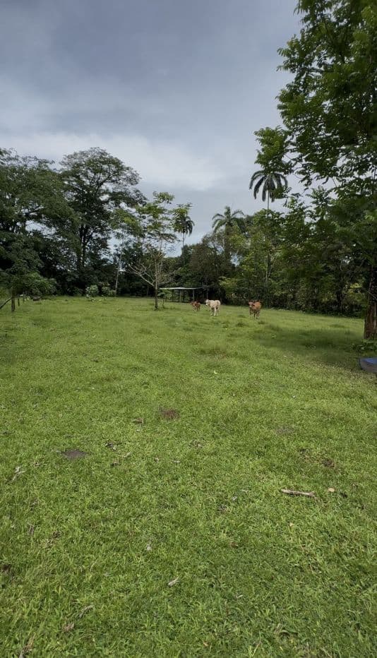 Riverside Land Just 5 Miles from La Fortuna – 6,284 m², photo 9