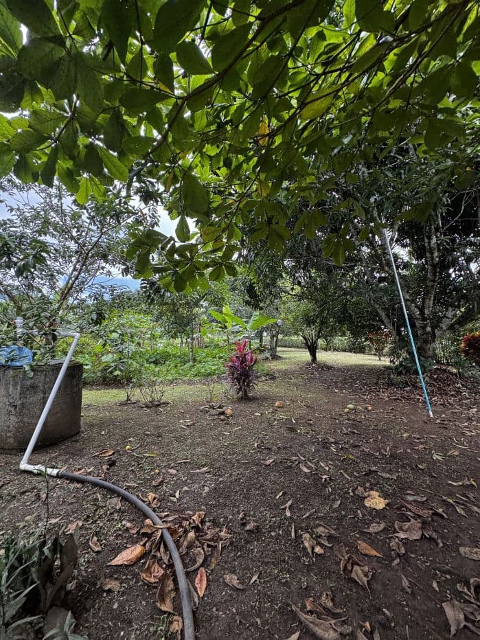 For Sale 5 Bedroom House Near La Fortuna with Fruit Trees and Large Lot, photo 11