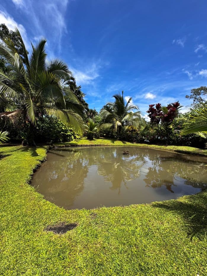Property with Restaurant and Cabins for Sale near La Fortuna Costa Rica, photo 23