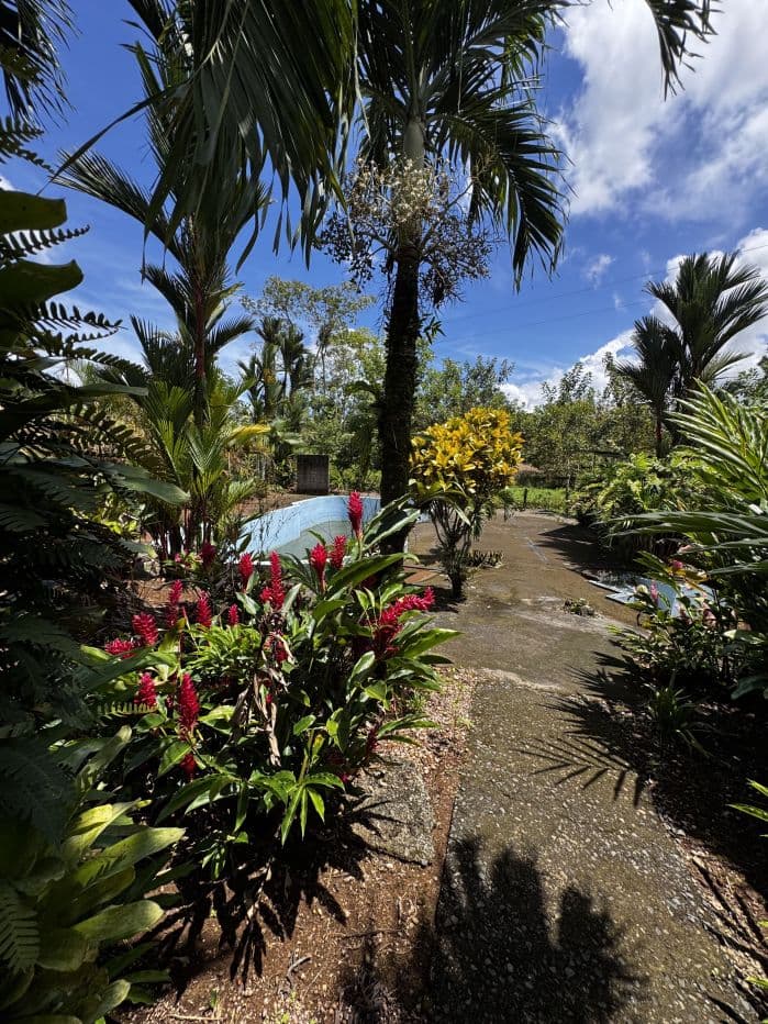 Property with Restaurant and Cabins for Sale near La Fortuna Costa Rica, photo 7