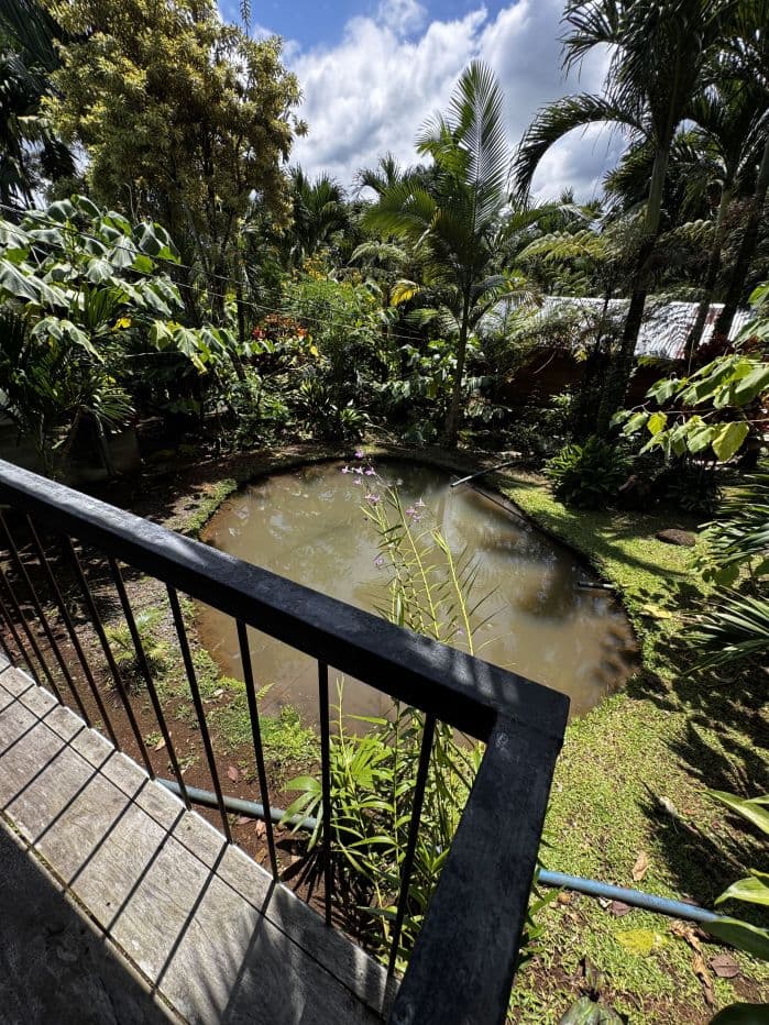 Property with Restaurant and Cabins for Sale near La Fortuna Costa Rica, photo 16