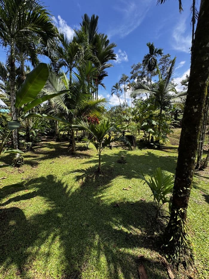 Property with Restaurant and Cabins for Sale near La Fortuna Costa Rica, photo 8