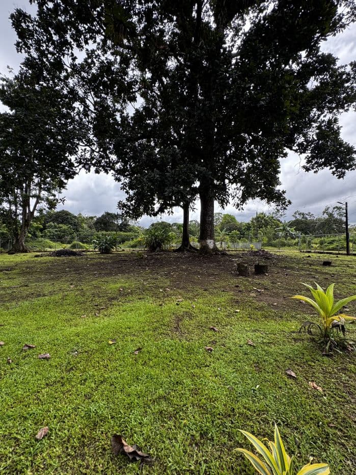 For Sale Eco-Friendly Cabin Surrounded by Nature 40 Minutes from La Fortuna, photo 24