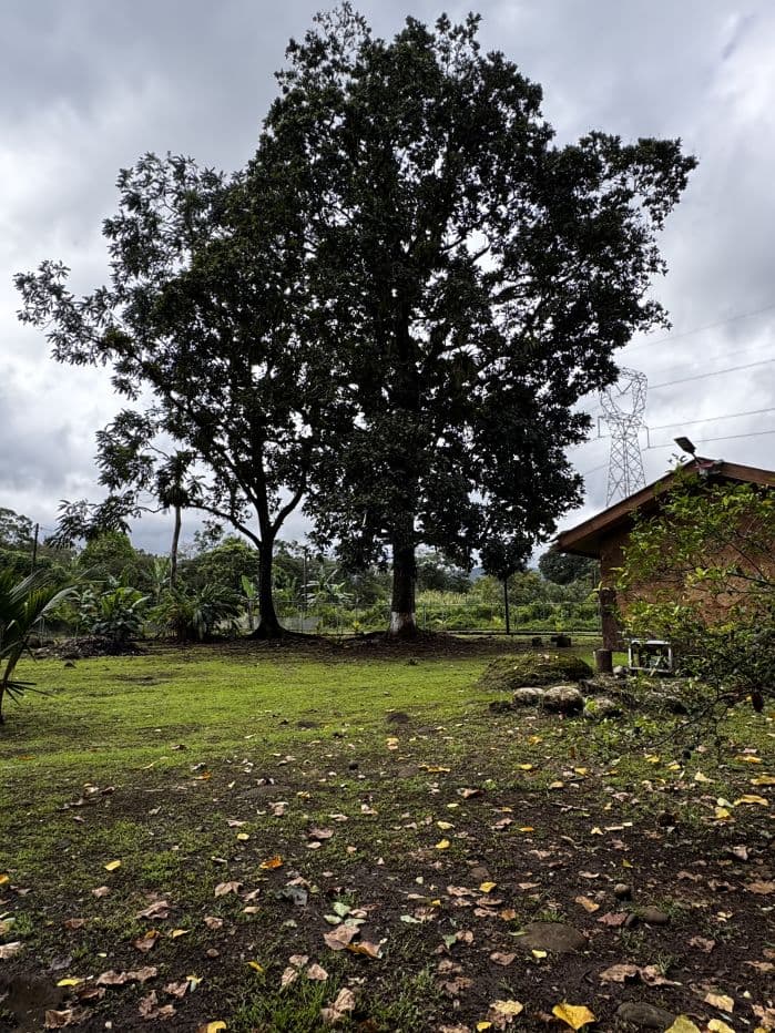 For Sale Eco-Friendly Cabin Surrounded by Nature 40 Minutes from La Fortuna, photo 16