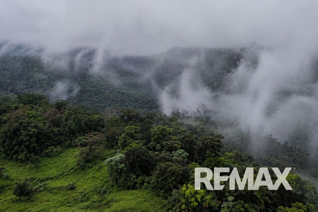 757 Hectares of Cloud Forest for Sale in Costa Rica – Ideal for Carbon Credits, Conservation and Wellness Development, photo 5