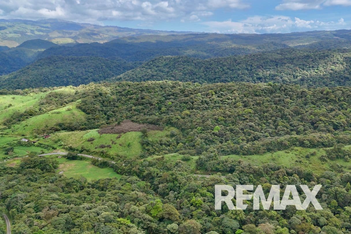 757 Hectares of Cloud Forest for Sale in Costa Rica – Ideal for Carbon Credits, Conservation and Wellness Development, photo 11
