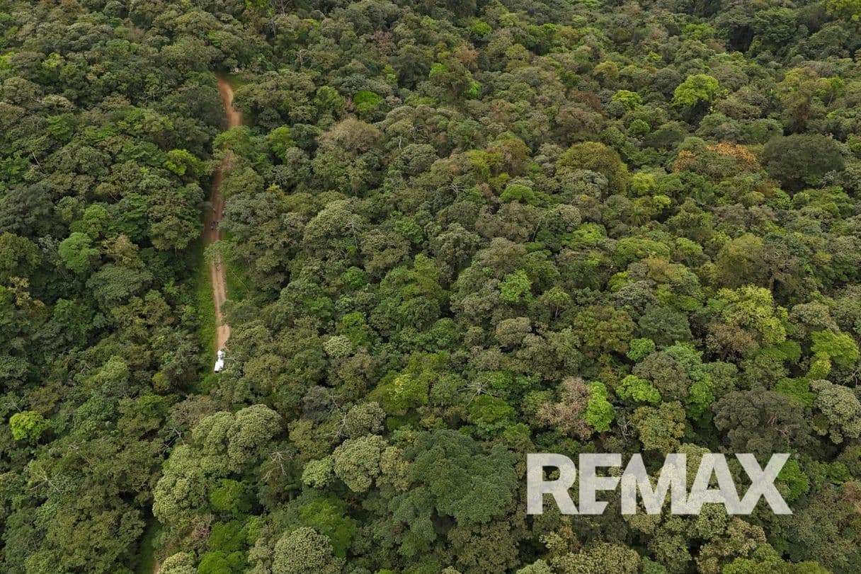 757 Hectares of Cloud Forest for Sale in Costa Rica – Ideal for Carbon Credits, Conservation and Wellness Development, photo 14