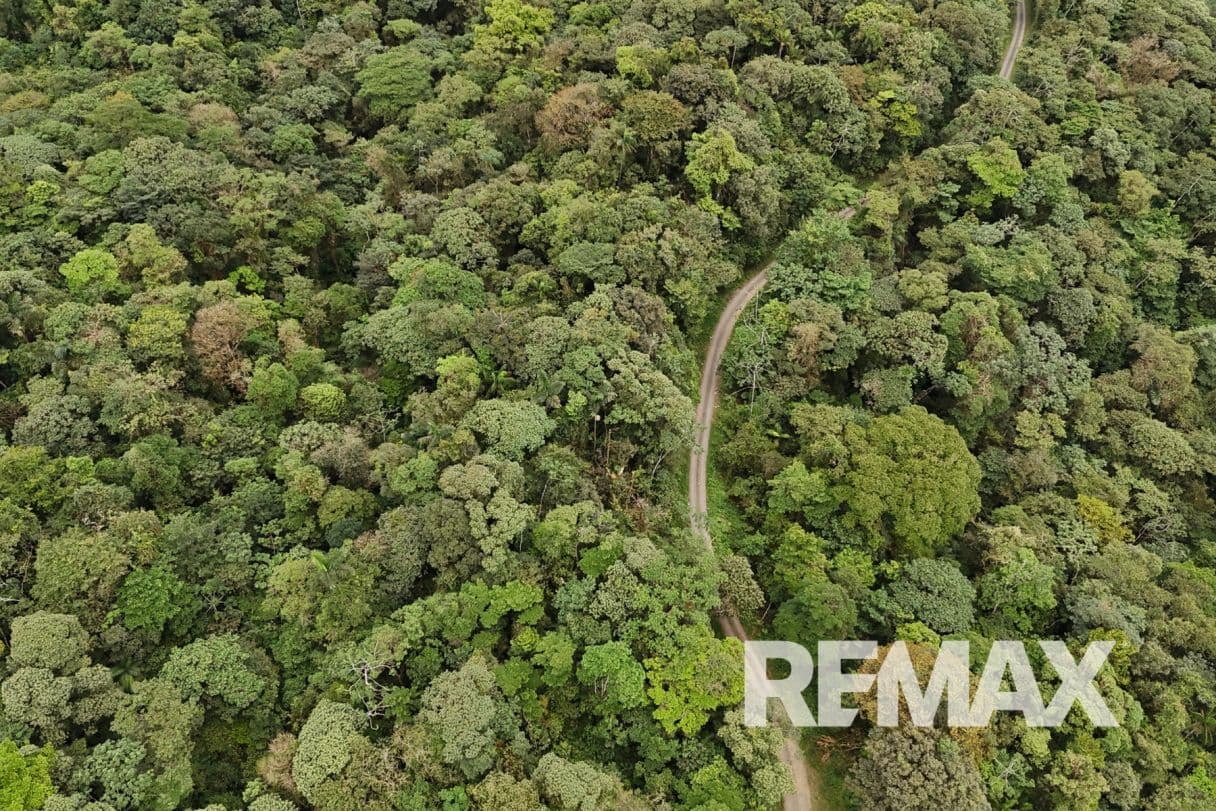 757 Hectares of Cloud Forest for Sale in Costa Rica – Ideal for Carbon Credits, Conservation and Wellness Development, photo 9