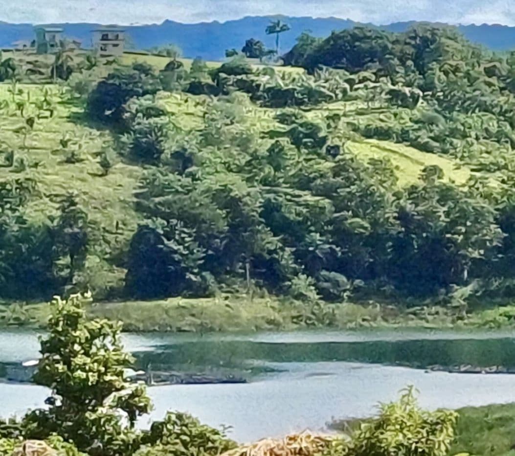 Peaceful Lake View Lot in San Luis, Tilaran, Guanacaste, photo 10