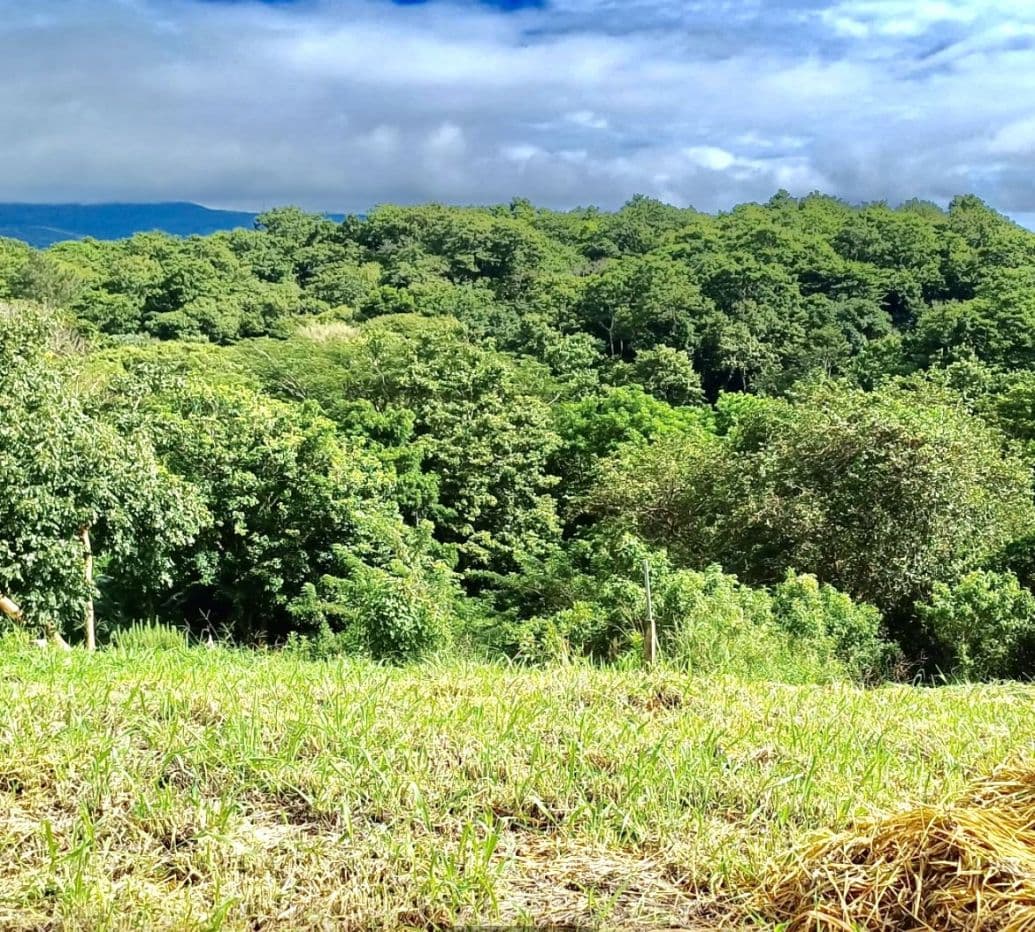 Peaceful Lake View Lot in San Luis, Tilaran, Guanacaste, photo 2