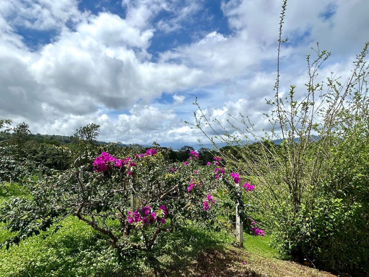 Modern Tiny Homes with Lake Arenal Views + Expansion Potential, photo 17