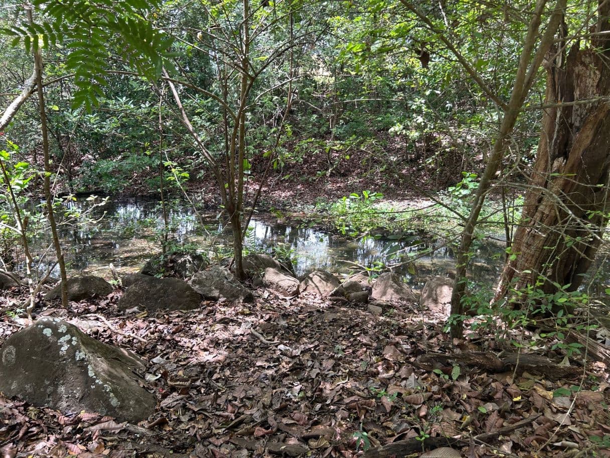 78 Hectares in Tilaran Guanacaste - Renewable Energy & Carbon Credit Potential with Agricultural and Ecotourism Upside, photo 11