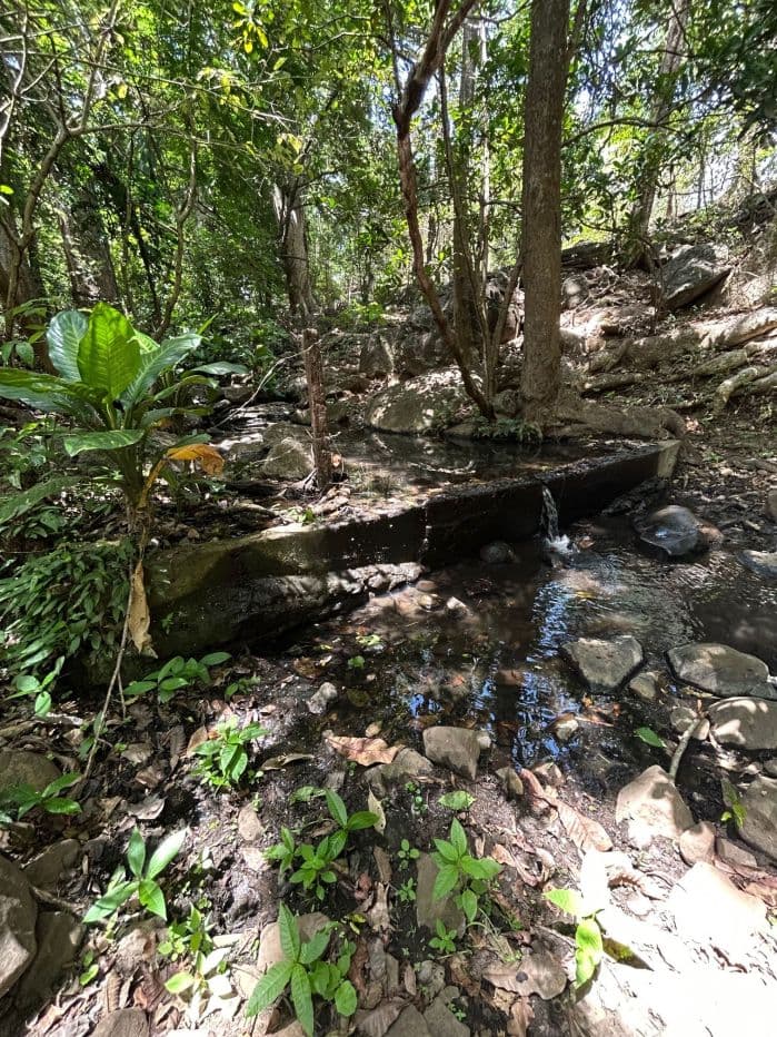 78 Hectares in Tilaran Guanacaste - Renewable Energy & Carbon Credit Potential with Agricultural and Ecotourism Upside, photo 2