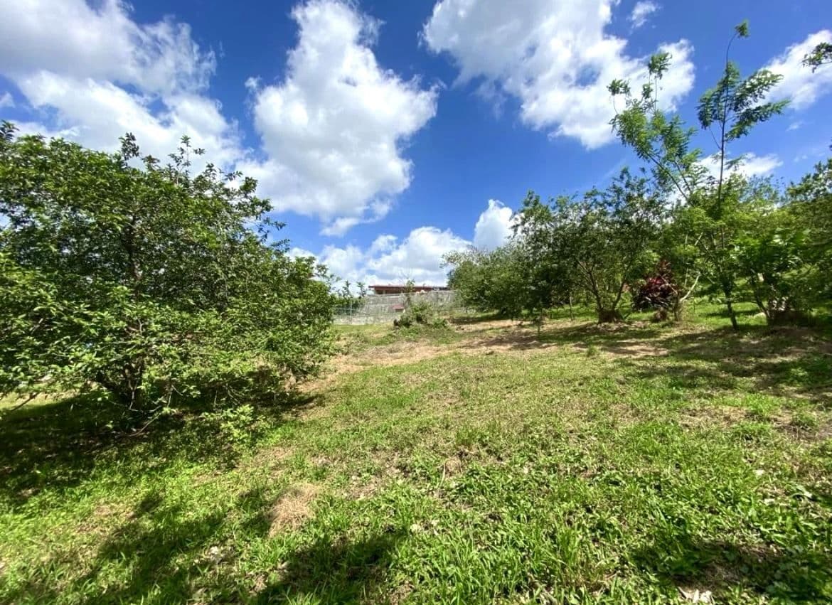 A Prestigious Lot in Arenal Volcano National Park - Spectacular Lake & Volcano Views, photo 4