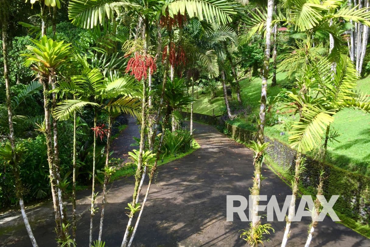 Welcome to Villa Decary a Lake Arenal Botanical Estate and a Landmark Spanish Colonial Hospitality Property Near La Fortuna Costa Rica, photo 35