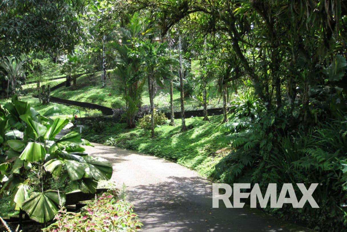 Welcome to Villa Decary a Lake Arenal Botanical Estate and a Landmark Spanish Colonial Hospitality Property Near La Fortuna Costa Rica, photo 5