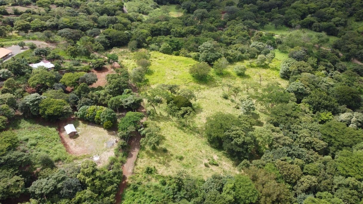 Quinta del Llano de Cañas – Nature, Investment, and Development in Cañas, Guanacaste, photo 4
