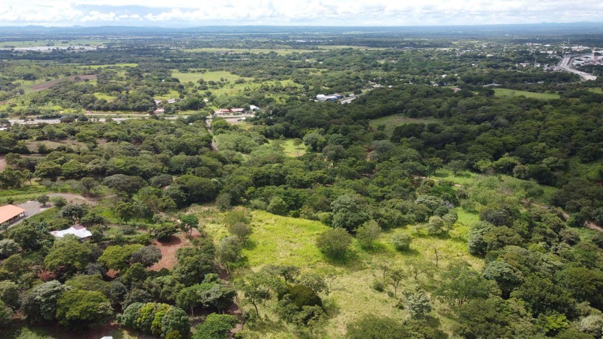 Quinta del Llano de Cañas – Nature, Investment, and Development in Cañas, Guanacaste, photo 2