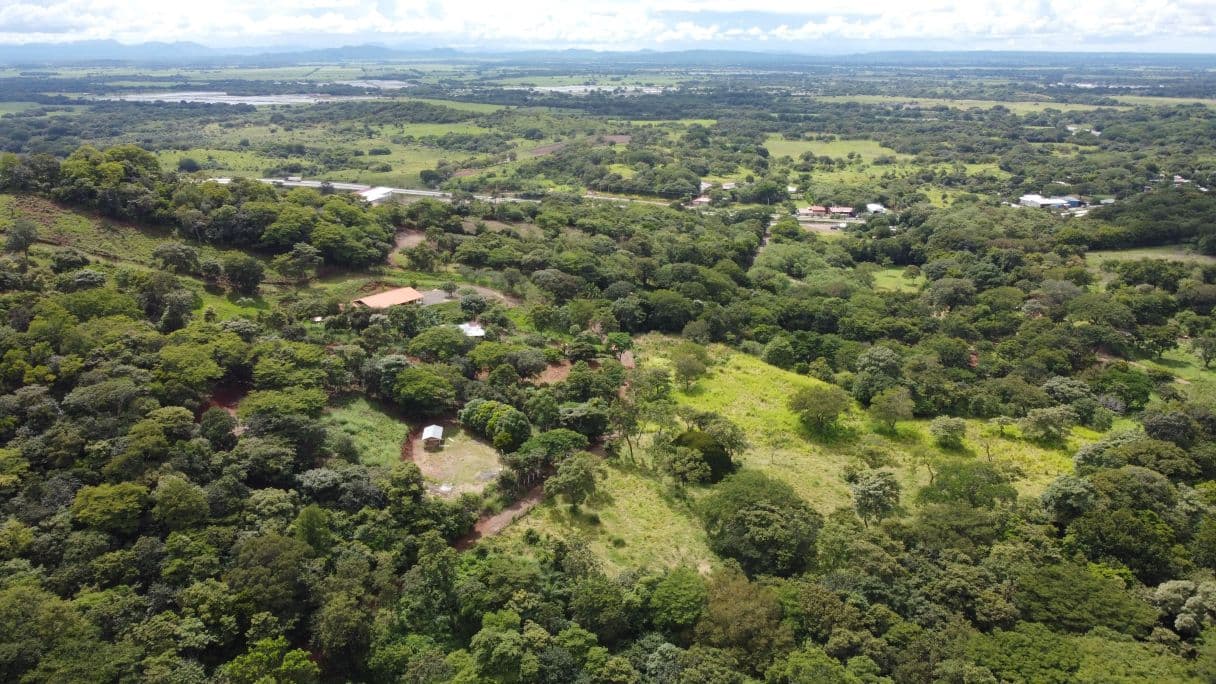 Quinta del Llano de Cañas – Nature, Investment, and Development in Cañas, Guanacaste, photo 5