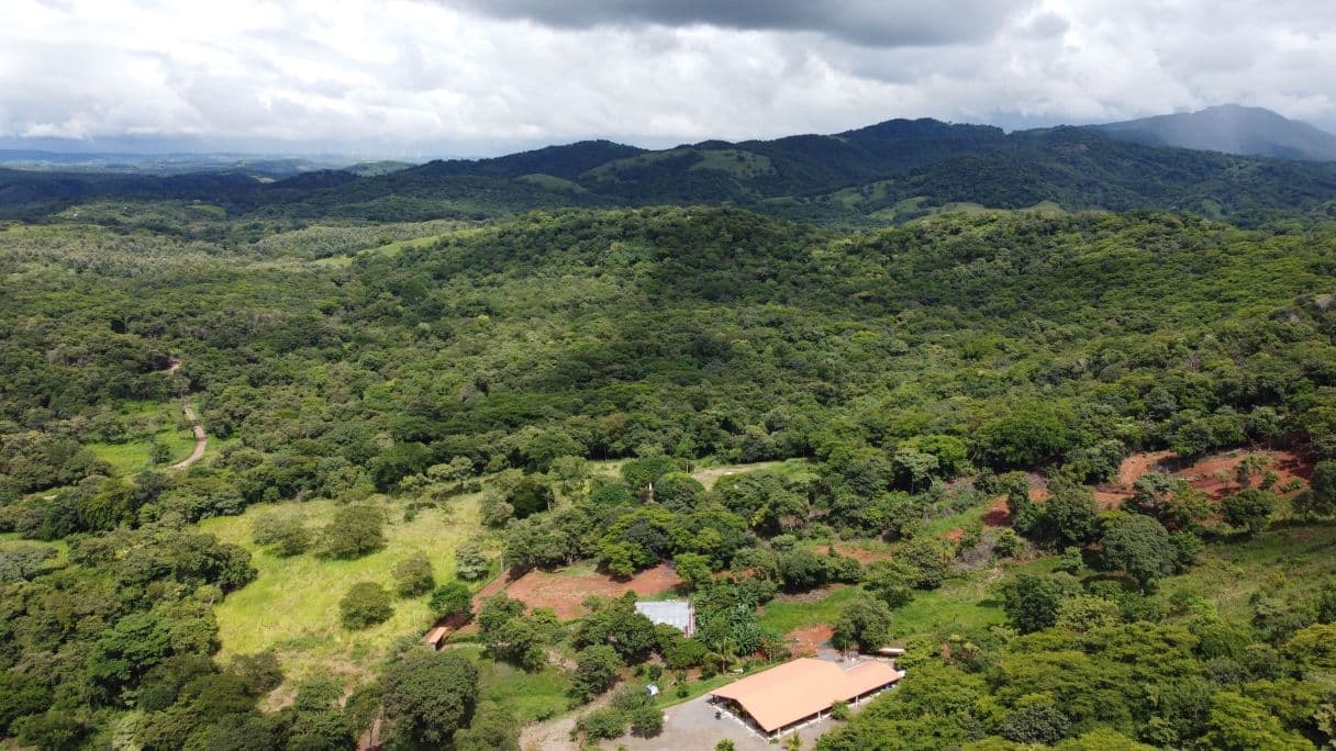 Quinta del Llano de Cañas – Nature, Investment, and Development in Cañas, Guanacaste, photo 8