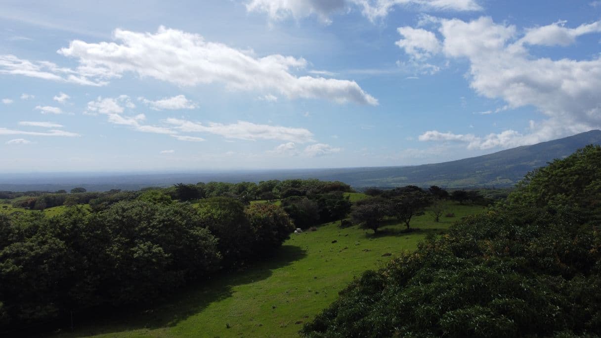 Farm –Nueva Guatemala, Palmira de Cañas, Guanacaste, Costa Rica, photo 18