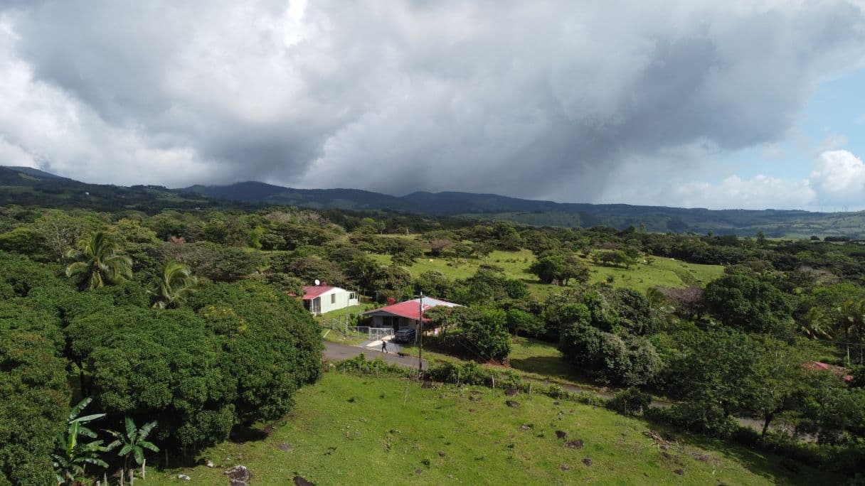 Farm –Nueva Guatemala, Palmira de Cañas, Guanacaste, Costa Rica, photo 11