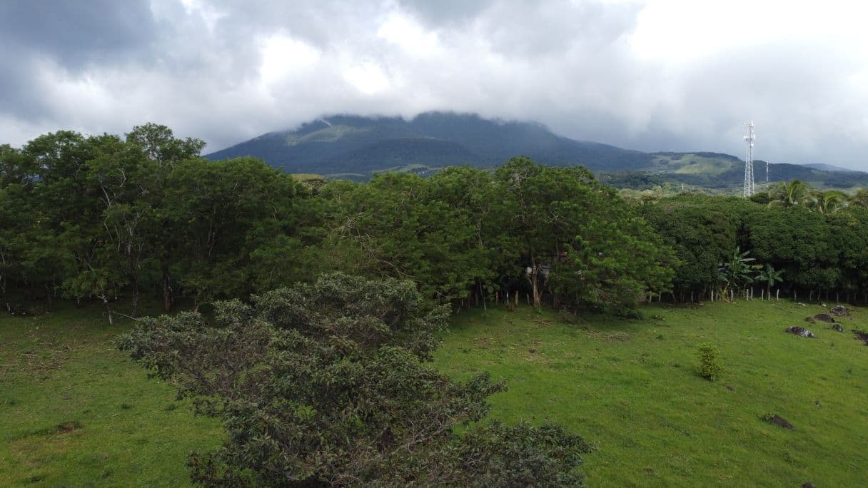 Farm –Nueva Guatemala, Palmira de Cañas, Guanacaste, Costa Rica, photo 12