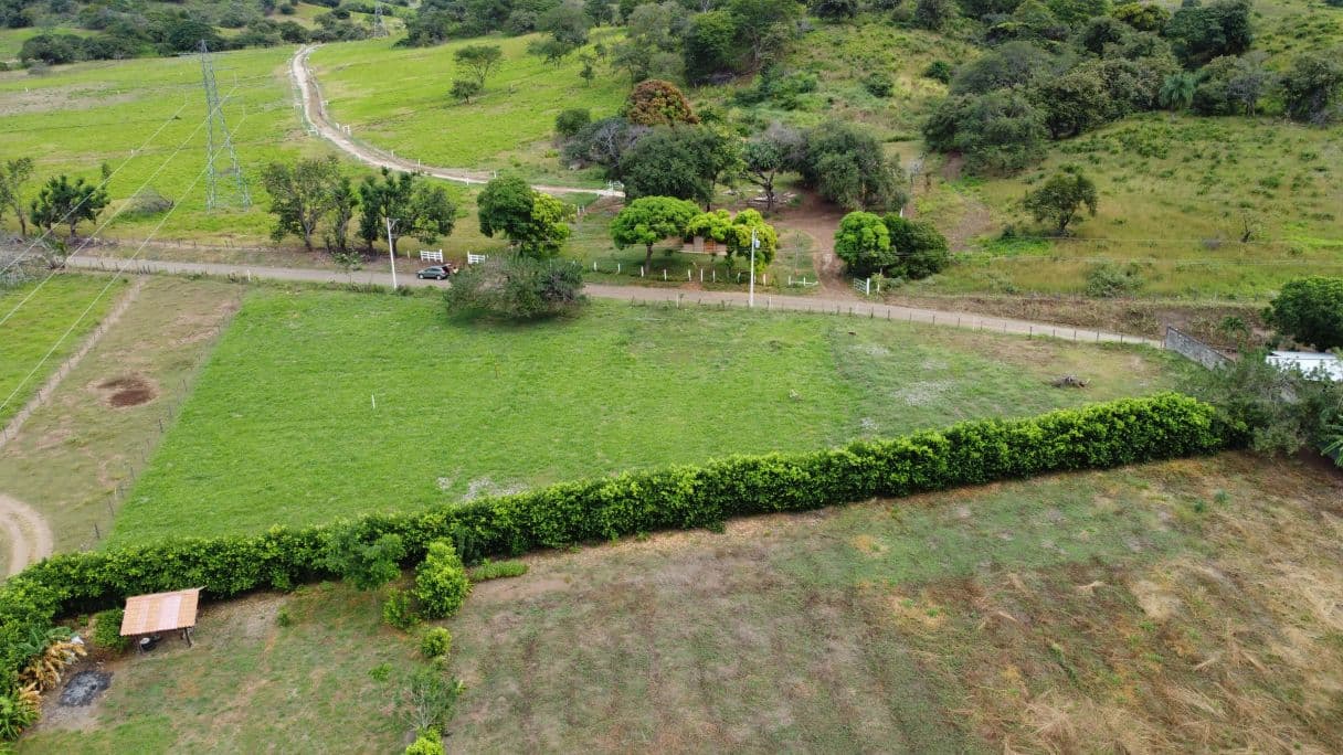 Lots for Sale –  1 km north of the National Production Council (CNP) warehouses, photo 3