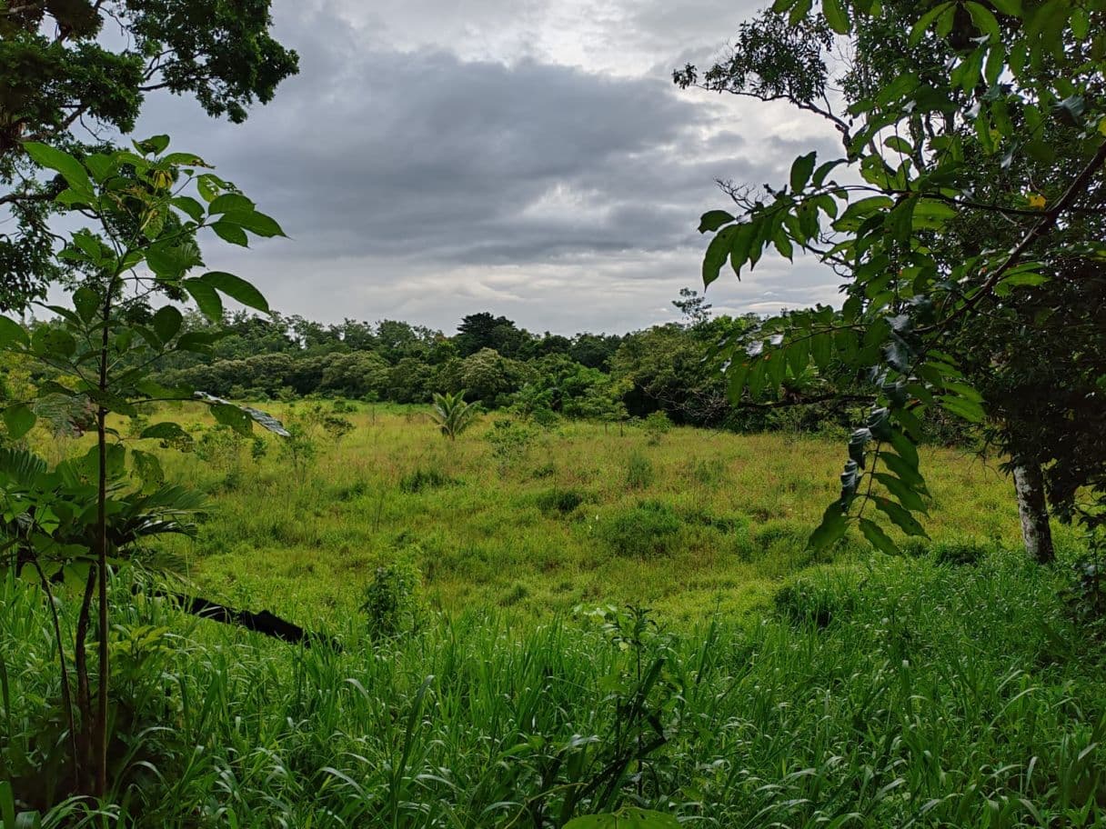 PROPERTY FOR SALE – BIJAGUA, GUANACASTE, photo 9