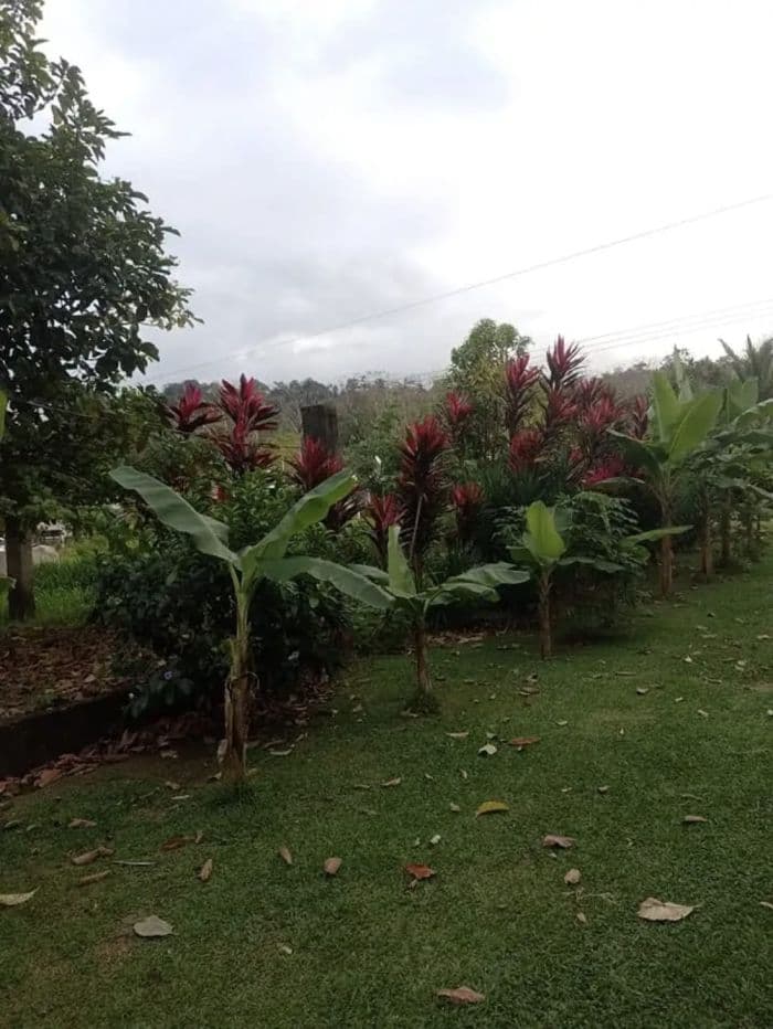 PROPERTY WITH TWO HOMES FOR SALE – PEACEFUL & NATURAL SETTING, photo 9