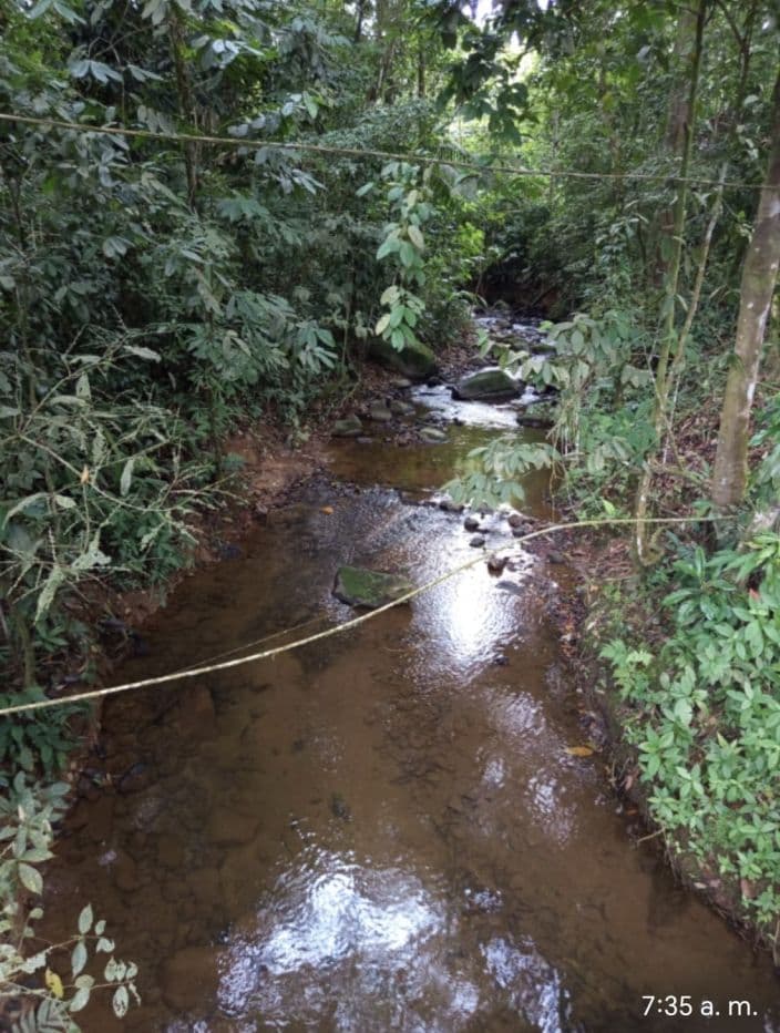 PROPERTY WITH TWO HOMES FOR SALE – PEACEFUL & NATURAL SETTING, photo 12