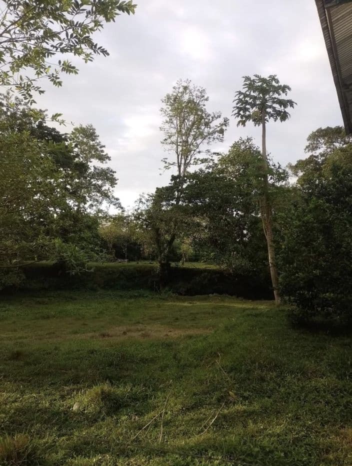 PROPERTY WITH TWO HOMES FOR SALE – PEACEFUL & NATURAL SETTING, photo 5