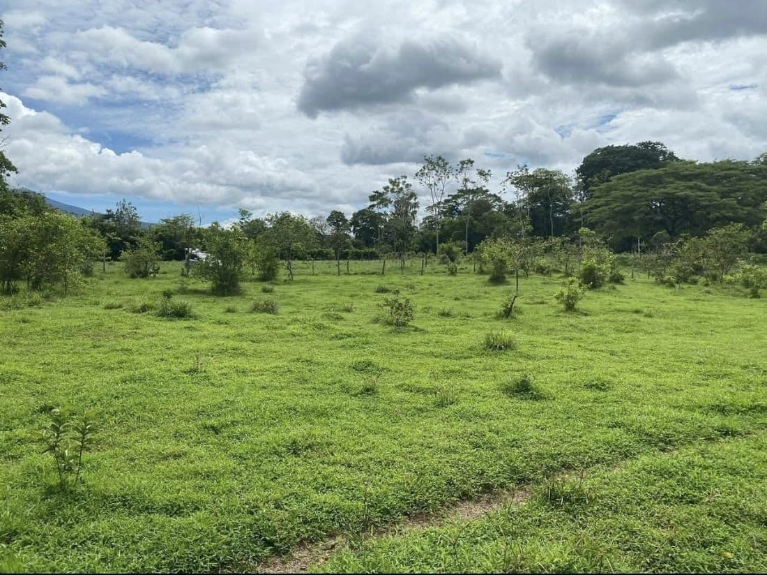 PROPERTY WITH TWO HOMES FOR SALE – PEACEFUL & NATURAL SETTING, photo 4