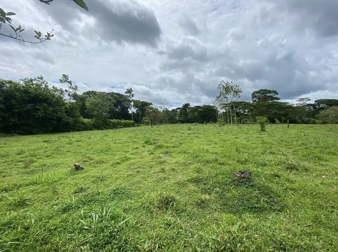 PROPERTY WITH TWO HOMES FOR SALE – PEACEFUL & NATURAL SETTING, photo 7