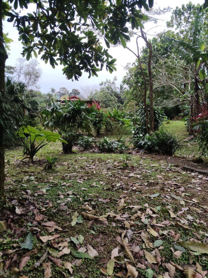 Eco-Tourism Property for Sale – 9,543 m² in Bijagua, Upala, photo 22
