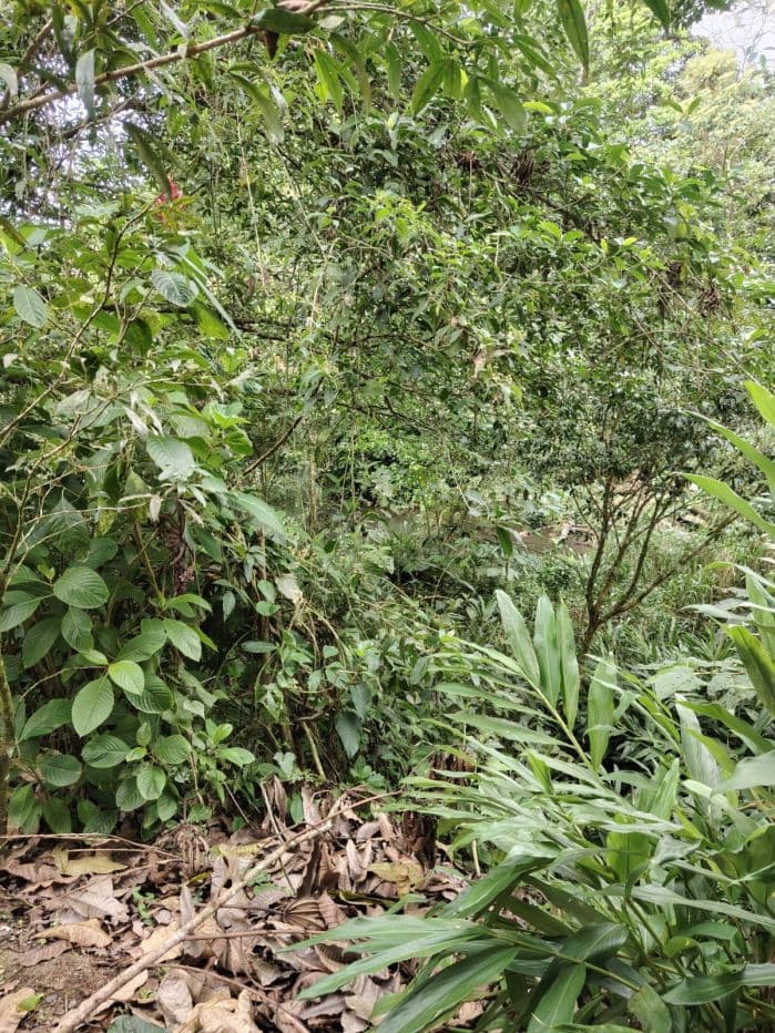 Eco-Tourism Property for Sale – 9,543 m² in Bijagua, Upala, photo 29