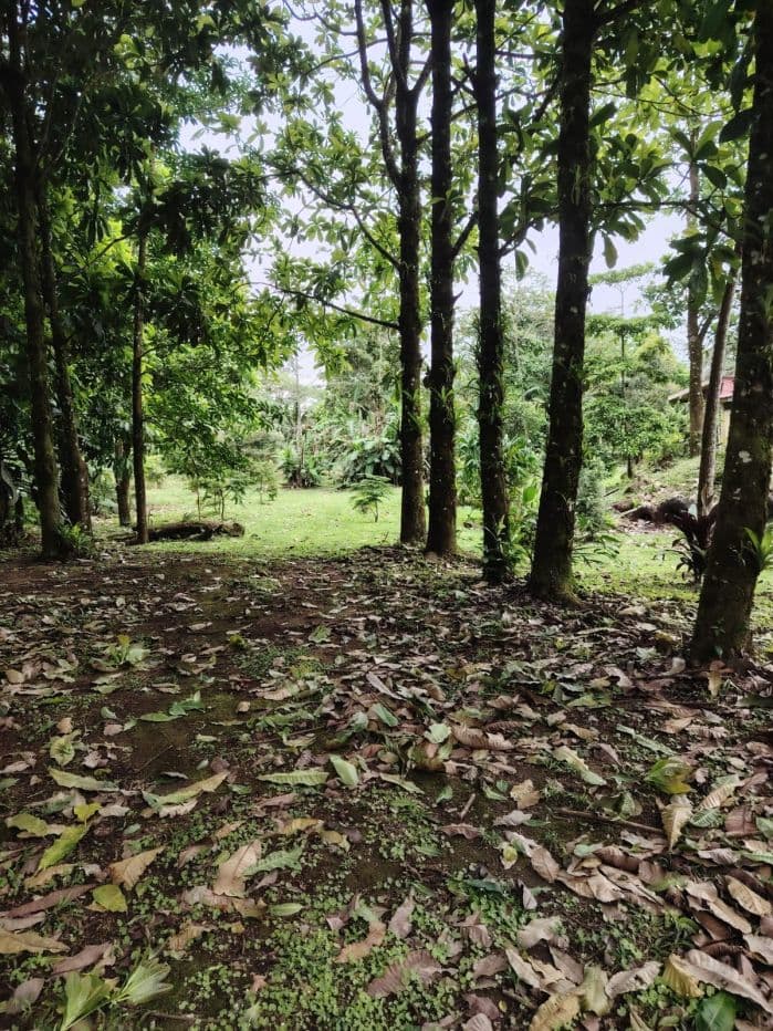 Eco-Tourism Property for Sale – 9,543 m² in Bijagua, Upala, photo 31