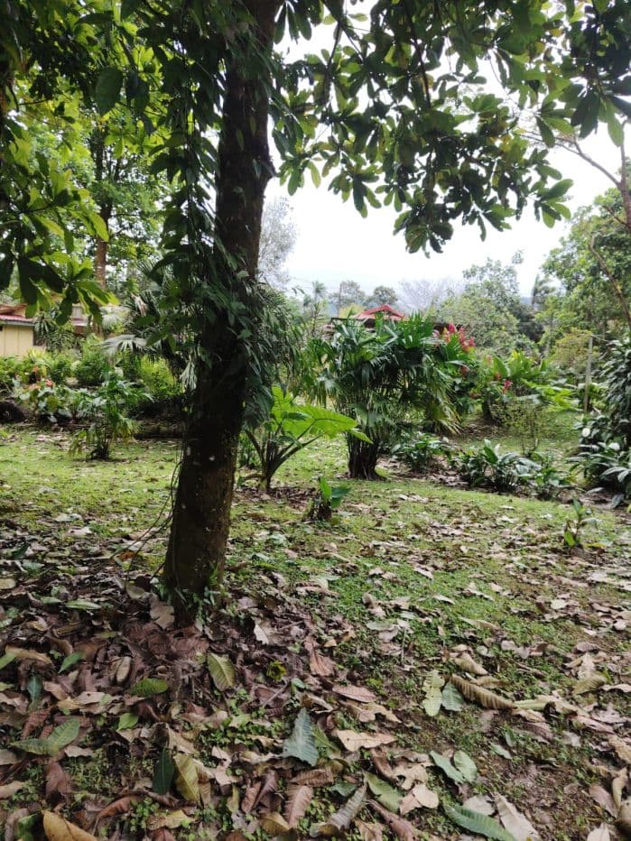 Eco-Tourism Property for Sale – 9,543 m² in Bijagua, Upala, photo 20