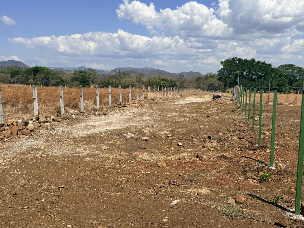 Lot for Sale in front of Private School, located in Cañas, Guanacaste., photo 11