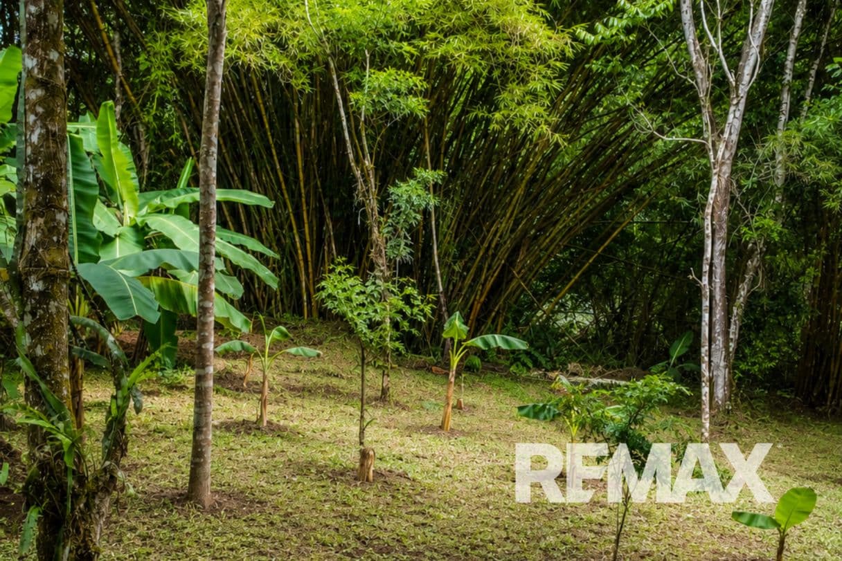 HOME FOR SALE IN LLANO AZUL, UPALA, COSTA RICA, photo 25