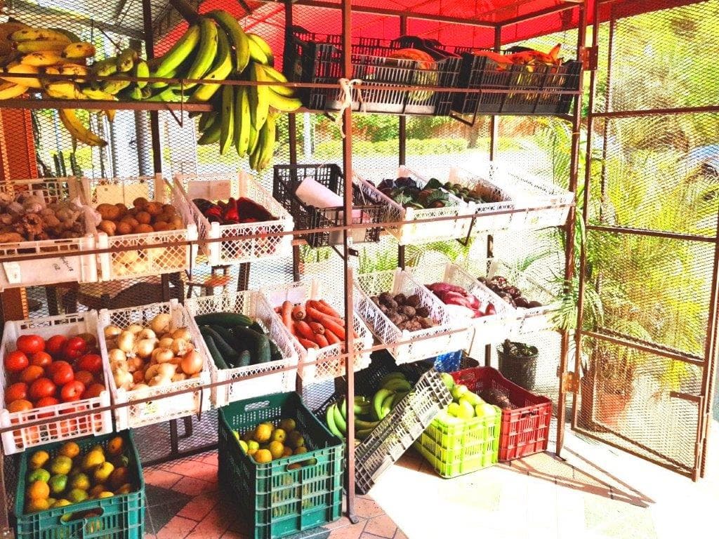 Herradura Restaurant and Minimarket Income Property, photo 9
