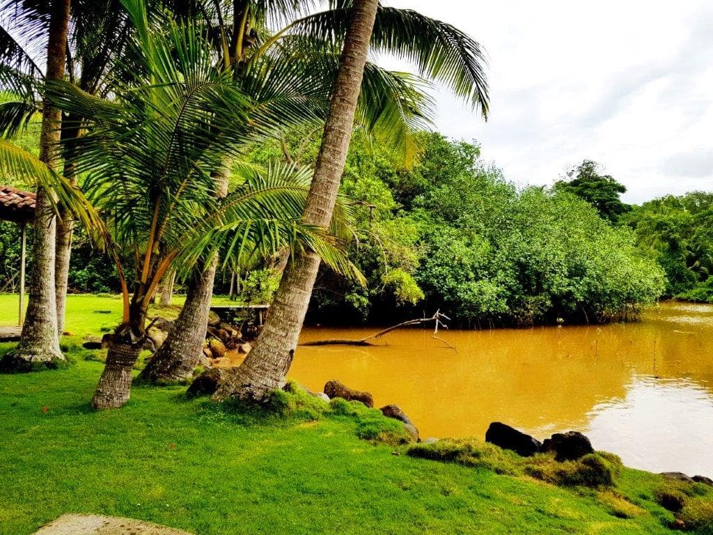 Jaco Beach Large River Lot by the Shore, photo 2