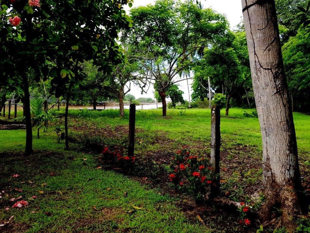 Jaco Beach Large River Lot by the Shore, photo 5