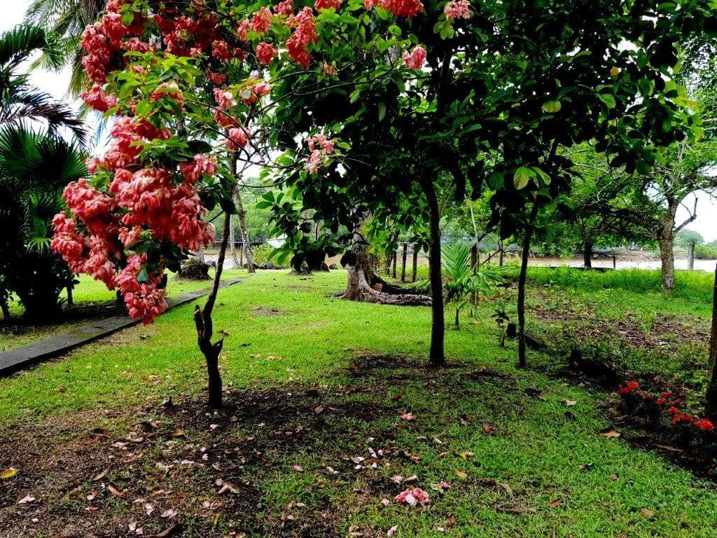 Jaco Beach Large River Lot by the Shore, photo 6